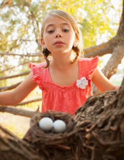 Little girl (6-7) looking at bird's nest
