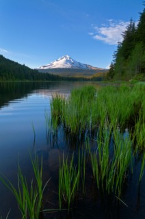 Mount Hood and Trillium Lake at sunset
