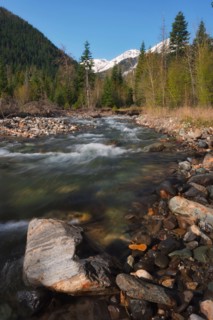 Mountain creek