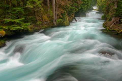 McKenzie River