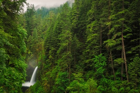 Metlako Falls