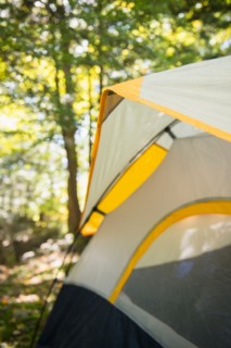 Tent in forest. Photo : Jamie Grill