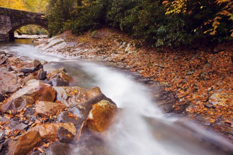 Small stream. Photo : Henryk Sadura