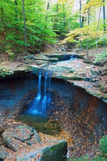 Small waterfalls in forest. Photo: Henryk Sadura
