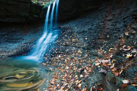Small waterfalls in forest. Photo: Henryk Sadura