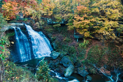 Small waterfalls in forest. Photo: Henryk Sadura