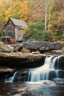 Mill on creek in forest. Photo : Henryk Sadura