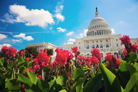 Capitol Building. Photo : Henryk Sadura