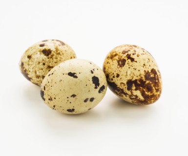 Studio shot of quail eggs.