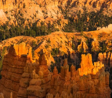 Landscape with cliffs