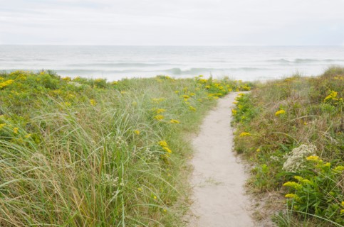 Footpath leading to beach