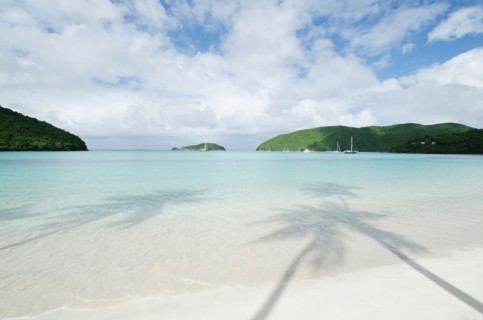 Shadow of palm trees on sandy beach