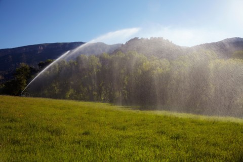 Agricultural sprinkler watering field