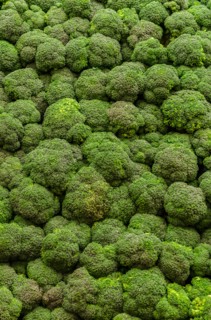 Stack of broccoli