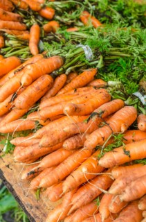 Stack of carrots