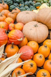 Heap of pumpkins