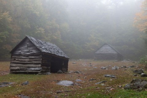 Sheds in foggy glade