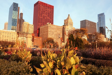 Cityscape of Chicago