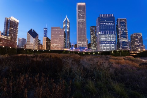Cityscape of Chicago
