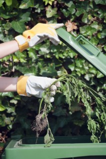 Woman holding weed over garbage bin