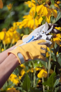 Woman using pruning shears