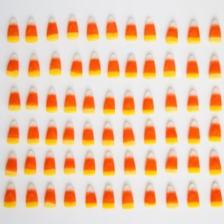 Studio Shot of rows of candy corn