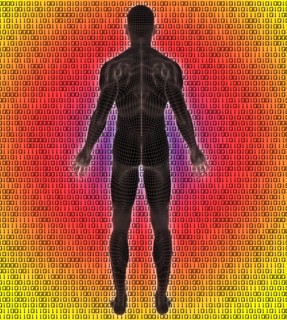 Digitally generated image of human representation