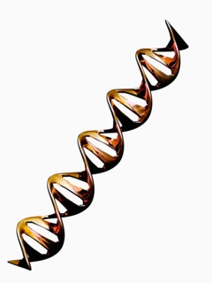 Digitally generated image of double helix