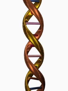 Digitally generated image of double helix