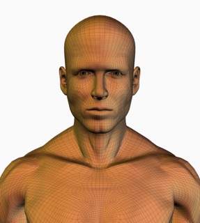 Digitally generated male figure