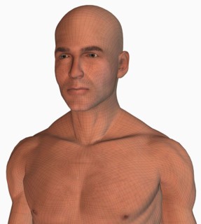 Digitally generated male figure
