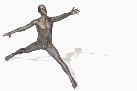 Human skeleton stretching