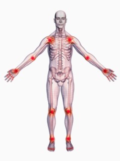 Digitally generated male figure showing body parts