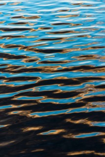 Water surface. Walden Pond, Concord, Massachusetts.