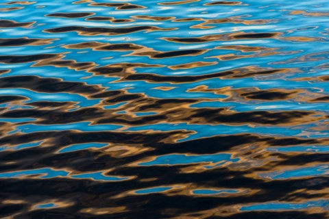 Water surface. Walden Pond, Concord, Massachusetts.