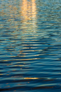 Water surface. Walden Pond, Concord, Massachusetts.