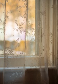 Window curtain.