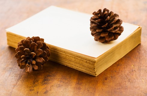Antique book and pine cones.