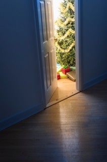 Christmas tree in doorway.