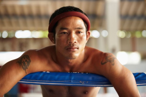 Portrait of mid adult male boxer