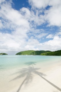 View of sandy beach