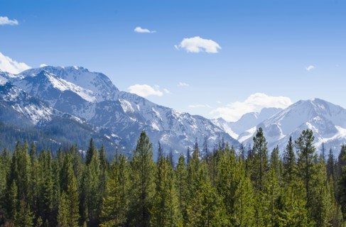 View of forest with Rocky Mountains in background