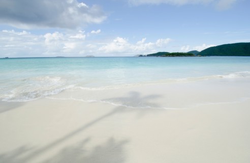 Shadow of palm trees on sandy beach