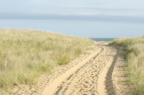 Path with tyre track