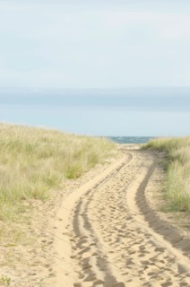 Path with tyre track