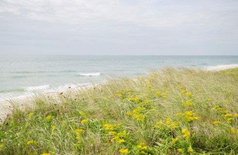 View of sandy beach