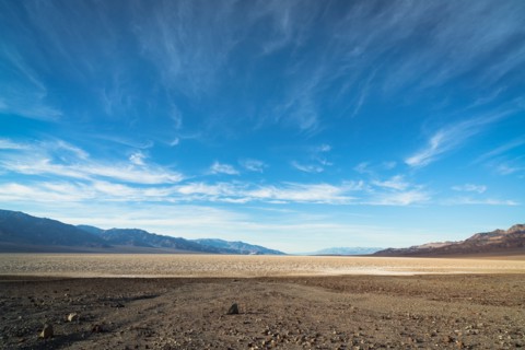 Desert landscape