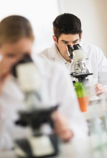 Scientists doing research on microscopes.