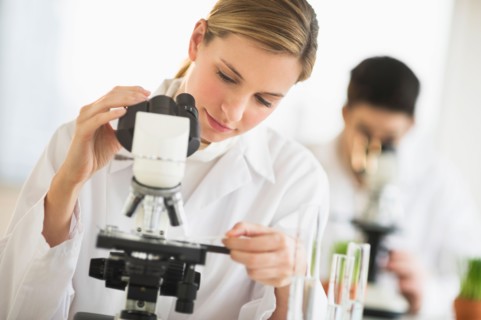 Scientists doing research on microscopes.
