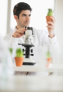 Scientist doing research on microscopes.